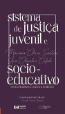 Sistema de justiça juvenil e socioeducativo
