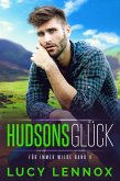 Hudsons Glück (eBook, ePUB)