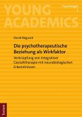 Die psychotherapeutische Beziehung als Wirkfaktor (eBook, PDF)