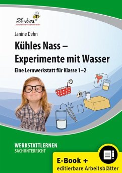 Kühles Nass - Experimente mit Wasser (eBook, PDF) - Dehn, Janine
