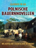 Polnische Bauernnovellen (eBook, ePUB)