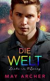 Die Welt (eBook, ePUB)