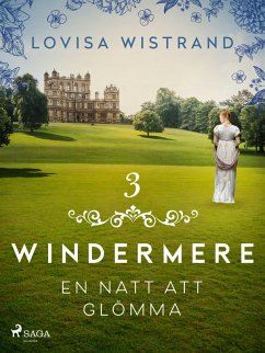 Cover En natt att glömma (eBook, ePUB)