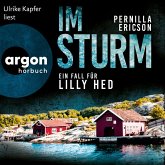 Im Sturm - Ein Fall für Lilly Hed. Der mitreißende Bestseller aus Schweden (MP3-Download)