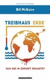 Treibhaus Erde