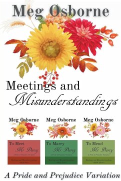 Meetings and Misunderstandings - Osborne, Meg