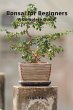 Bonsai for Beginners - Bild 1