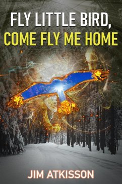 Cover Fly Little Bird, Come Fly Me Home (eBook, ePUB)