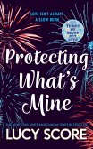 Protecting What's Mine (eBook, ePUB)