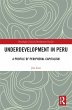 Underdevelopment in Peru (eBook, ePUB) - Bild 1