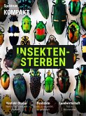 Spektrum Kompakt - Insektensterben (eBook, PDF)