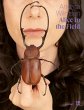 Alice in the Field - Bild 1