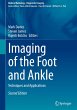Imaging of the Foot and Ankle - Bild 1