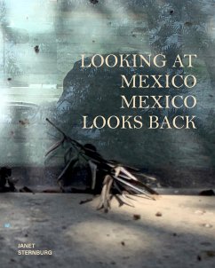 Looking at Mexico / Mexico Looks Back - Sternburg, Janet