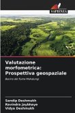 Valutazione morfometrica: Prospettiva geospaziale