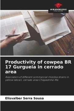 Productivity of cowpea BR 17 Gurgueia in cerrado area - Serra Sousa, Elisvalber