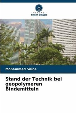 Cover Stand der Technik bei geopolymeren Bindemitteln