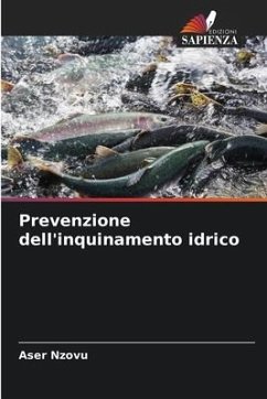 Prevenzione dell'inquinamento idrico - Nzovu, Aser