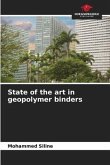 State of the art in geopolymer binders
