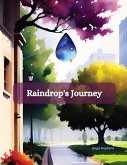 Raindrop's Journey