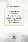 A prisão Civil do devedor de alimentos à luz da instrumentalização da coercibilidade penal no Brasil (eBook, ePUB)