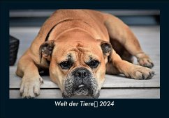 Welt der Tiere 2024 Fotokalender DIN A5 - Tobias Becker