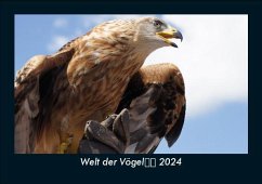 Welt der Vögel 2024 Fotokalender DIN A5 - Tobias Becker