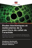 Études biochimiques et moléculaires de la pourriture du collet de l'arachide