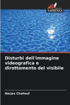 Disturbi dell'immagine videografica e dirottamento del visibile - Challouf, Narjes