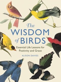 The Wisdom of Birds - Davies, Alison