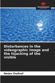 Disturbances in the videographic image and the hijacking of the visible