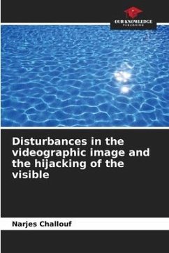 Disturbances in the videographic image and the hijacking of the visible - Challouf, Narjes