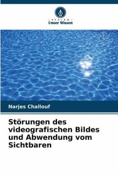 Störungen des videografischen Bildes und Abwendung vom Sichtbaren - Challouf, Narjes