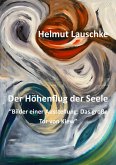 Der Höhenflug der Seele (eBook, ePUB)