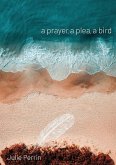 a prayer, a plea, a bird