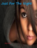 Just For The Night (eBook, ePUB)