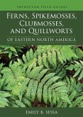 Ferns, Spikemosses, Clubmosses, and Quillworts of Eastern North America (eBook, ePUB)