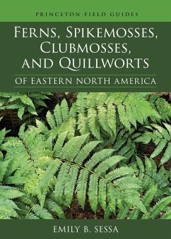 Ferns, Spikemosses, Clubmosses, and Quillworts of Eastern North America (eBook, ePUB) - Sessa, Emily