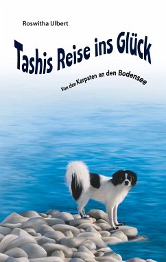 Tashis Reise ins Glück (eBook, ePUB)