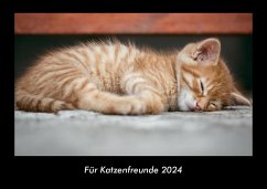 Für Katzenfreunde 2024 Fotokalender DIN A3 - Tobias Becker