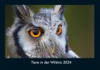 Tiere in der Wildnis 2024 Fotokalender DIN A4