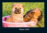 Welpen 2024 Fotokalender DIN A4