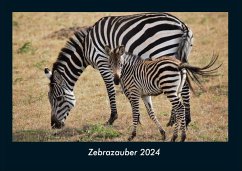 Zebrazauber 2024 Fotokalender DIN A4 - Tobias Becker