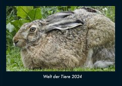 Welt der Tiere 2024 Fotokalender DIN A4 - Tobias Becker