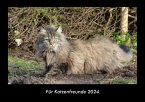 Für Katzenfreunde 2024 Fotokalender DIN A3