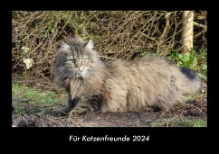 Für Katzenfreunde 2024 Fotokalender DIN A3 - Tobias Becker