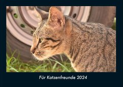 Für Katzenfreunde 2024 Fotokalender DIN A4 - Tobias Becker