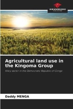 Agricultural land use in the Kingoma Group - MENGA, Daddy