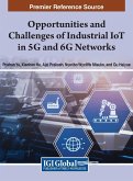 Opportunities and Challenges of Industrial IoT in 5G and 6G Networks