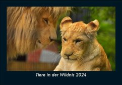 Tiere in der Wildnis 2024 Fotokalender DIN A5 - Tobias Becker